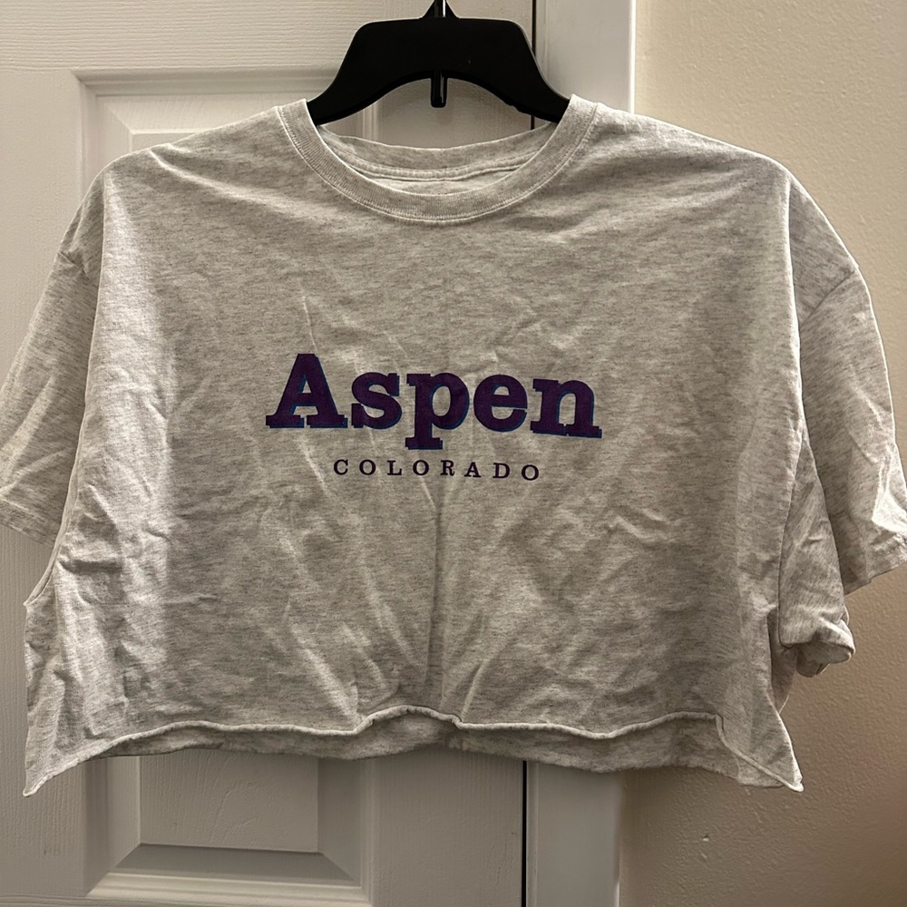 Brandy Melville Aspen Colorado Tee